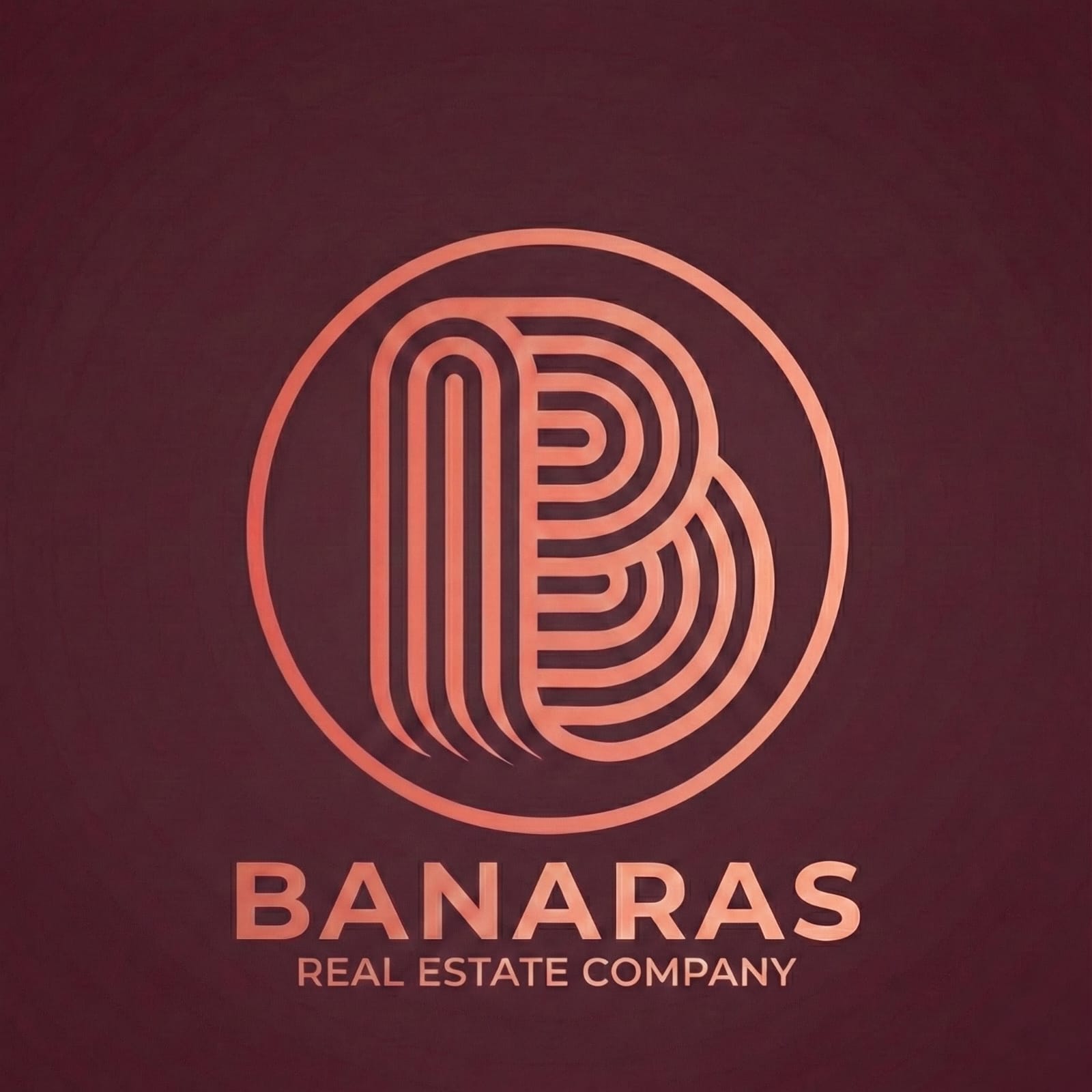 whatsapp image 2026 01 13 at 5.40.53 pm